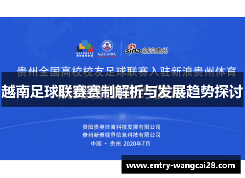 越南足球联赛赛制解析与发展趋势探讨